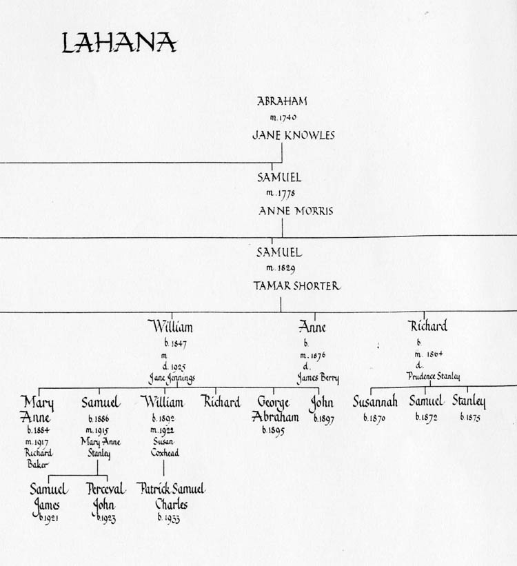 Lahana 3.jpg 52.0K